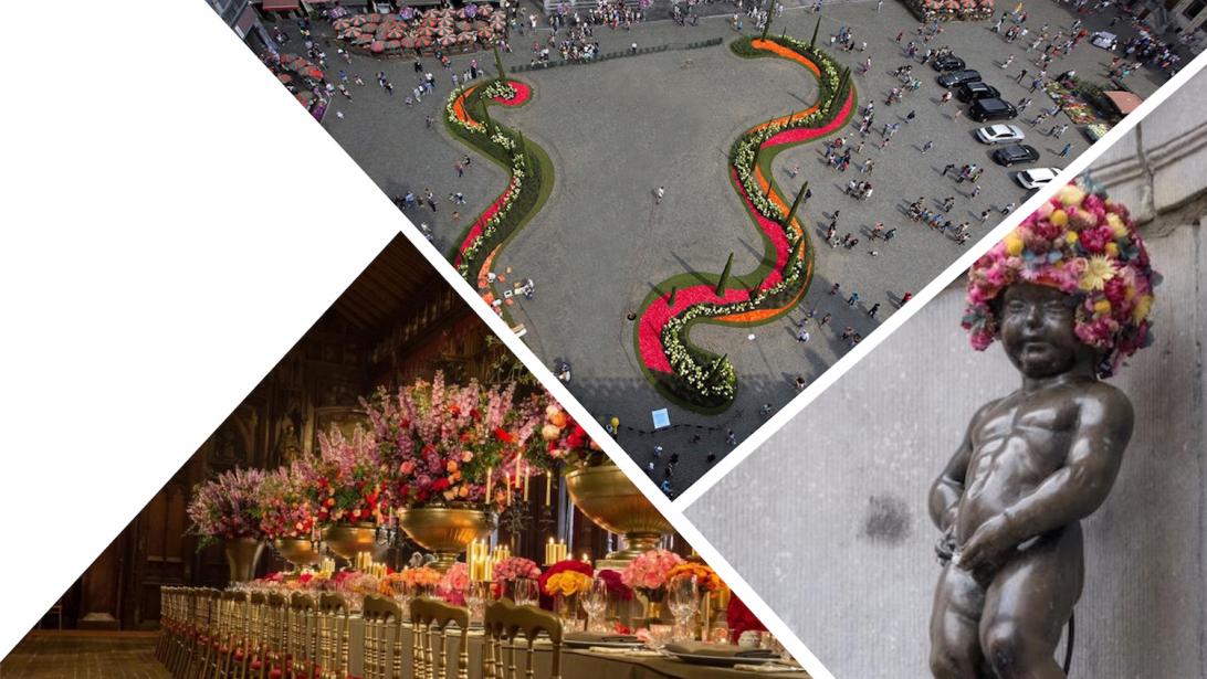 Ce week-end, le cœur de Bruxelles se pare de milliers de fleurs! Ce week-end, le cœur de Bruxelles se pare de milliers de fleurs!