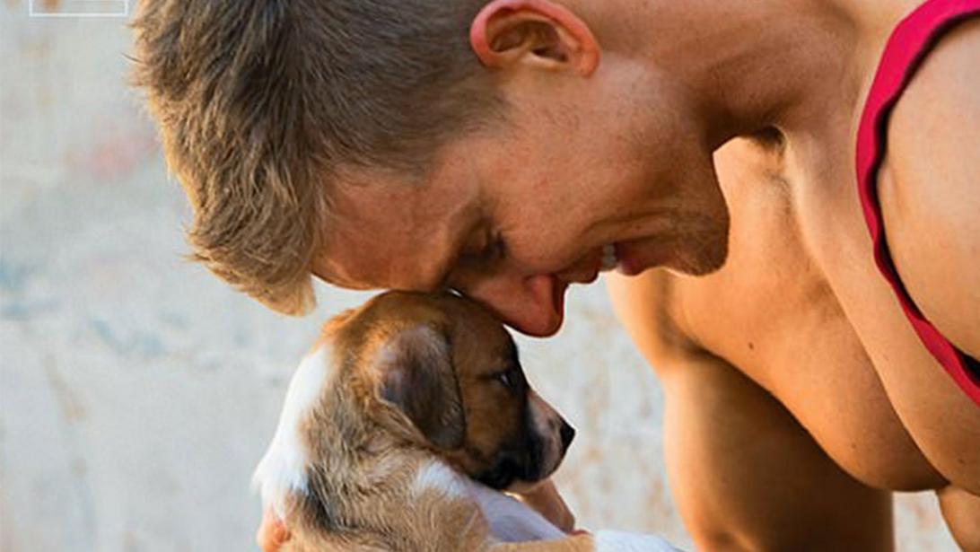 Koala, petits chiens et... pompiers canons: LE calendrier que tout le monde s'arrache Koala, petits chiens et... pompiers canons: LE calendrier que tout le monde s'arrache