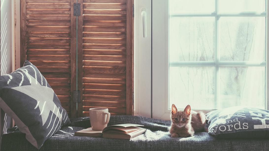 5 tips om je huis klaar te stomen voor de herfst 5 tips om je huis klaar te stomen voor de herfst