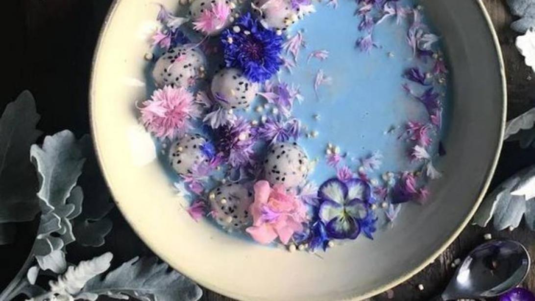 Les vertus de la "Blue majik": l'algue bleue qui fait le buzz sur Instagram Les vertus de la "Blue majik": l'algue bleue qui fait le buzz sur Instagram