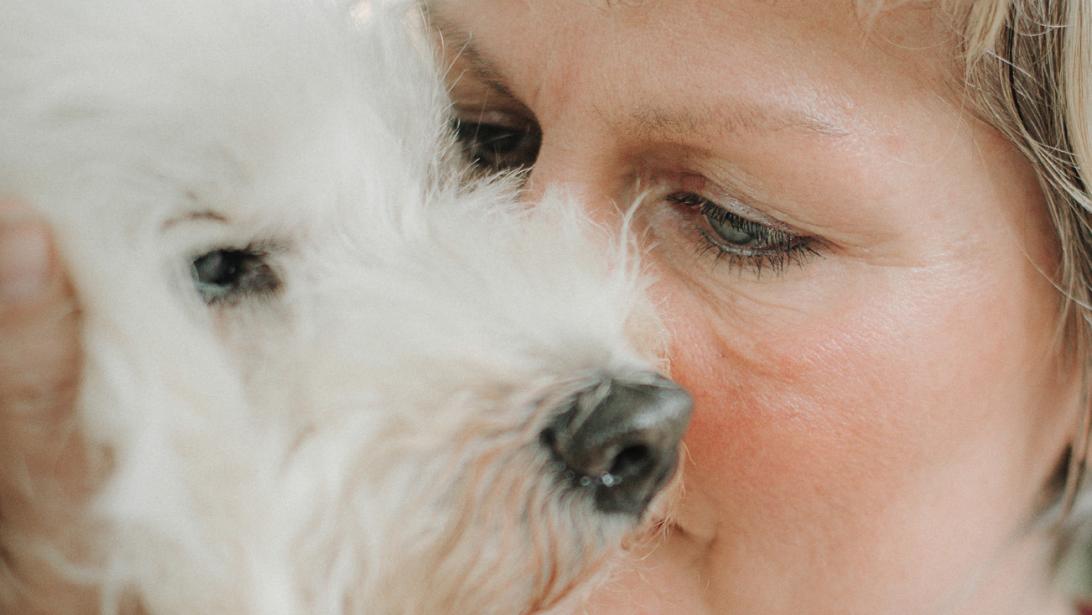 Dierenliefde: Carines hond week niet van haar zijde toen ze een aanval kreeg Dierenliefde: Carines hond week niet van haar zijde toen ze een aanval kreeg