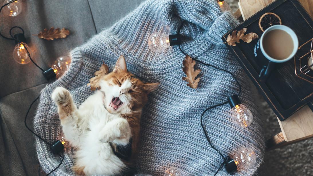 Le còsagech, l'art de vivre à l'écossaise qui va détrôner le Hygge Le còsagech, l'art de vivre à l'écossaise qui va détrôner le Hygge