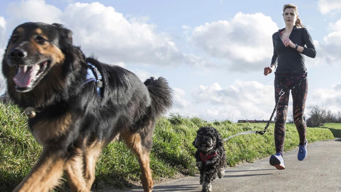 Sportieve getuigenis: Stéphanie kreeg een duwtje van haar hond Sportieve getuigenis: Stéphanie kreeg een duwtje van haar hond
