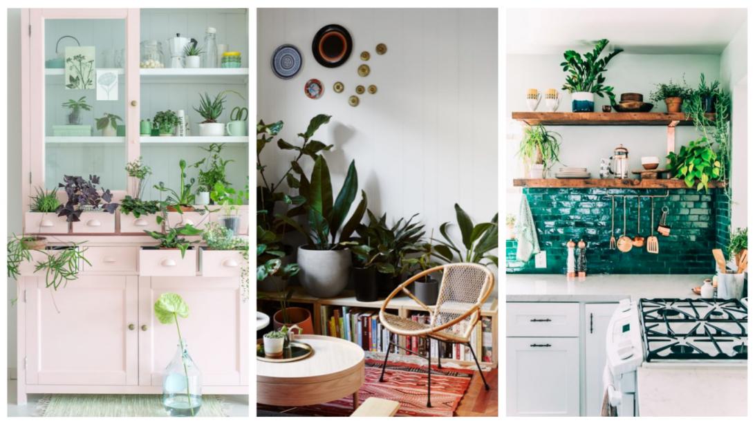 Inspiration Pinterest: on craque pour les plantes d'appartement! Inspiration Pinterest: on craque pour les plantes d'appartement!