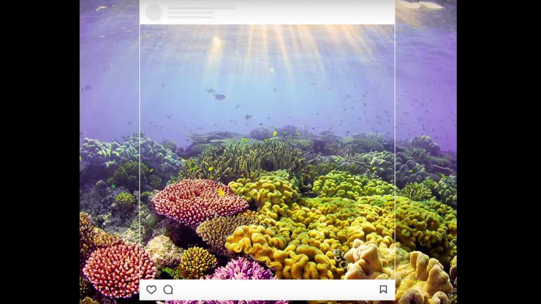 #TooLatergram: le hashtag de WWF qui sensibilise à l'écologie #TooLatergram: le hashtag de WWF qui sensibilise à l'écologie