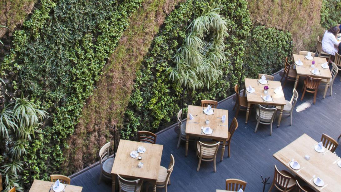 10 toppers voor designlovers in Mexico city 10 toppers voor designlovers in Mexico city