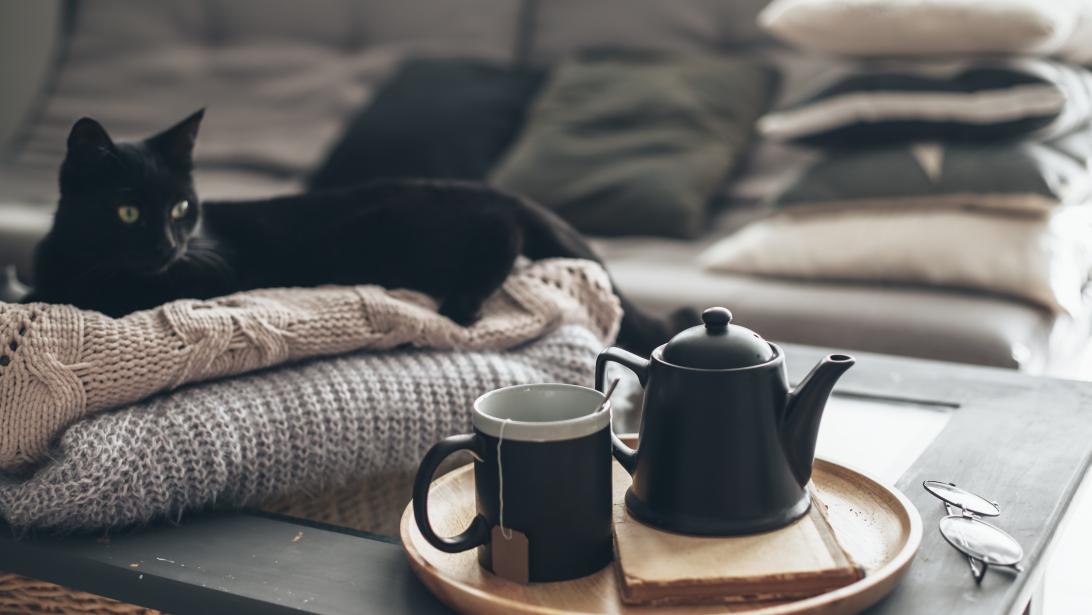5 choses géniales à faire avec ses vieux sachets de thé 5 choses géniales à faire avec ses vieux sachets de thé