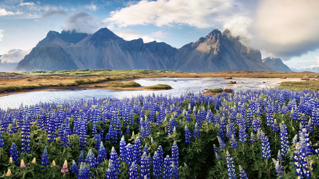 Tourisme: voici le meilleur pays du monde selon Tripadvisor! Tourisme: voici le meilleur pays du monde selon Tripadvisor!