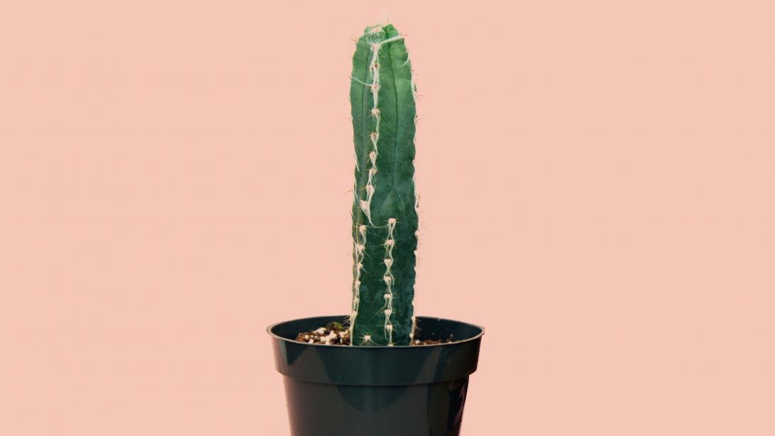 Vaginisme: 5 questions courantes et leurs réponses Vaginisme: 5 questions courantes et leurs réponses