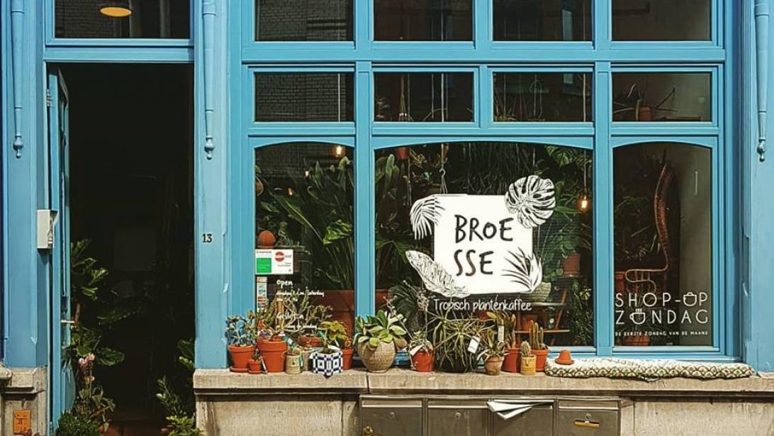 Broesse in Gent: tropisch plantencafé Broesse in Gent: tropisch plantencafé