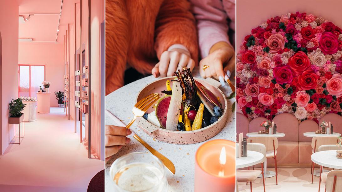 MOOY in Antwerpen: healthy food en cruelty free beauty MOOY in Antwerpen: healthy food en cruelty free beauty