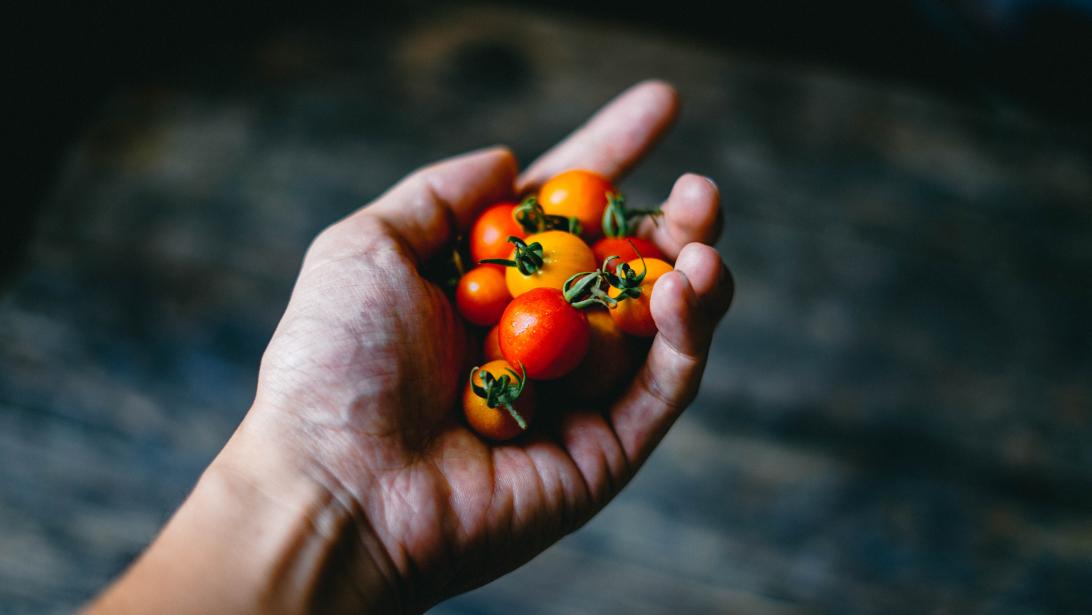 Quels fruits et légumes sont les plus contaminés par les pesticides? Quels fruits et légumes sont les plus contaminés par les pesticides?