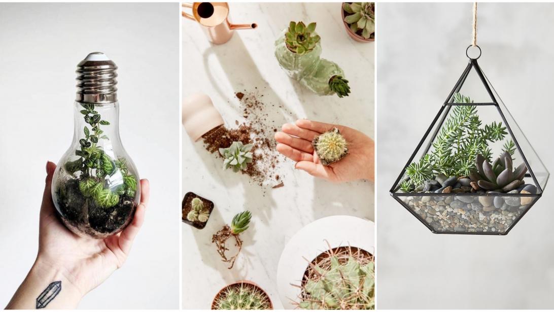 DIY: le guide pour confectionner le plus beau des terrariums! DIY: le guide pour confectionner le plus beau des terrariums!