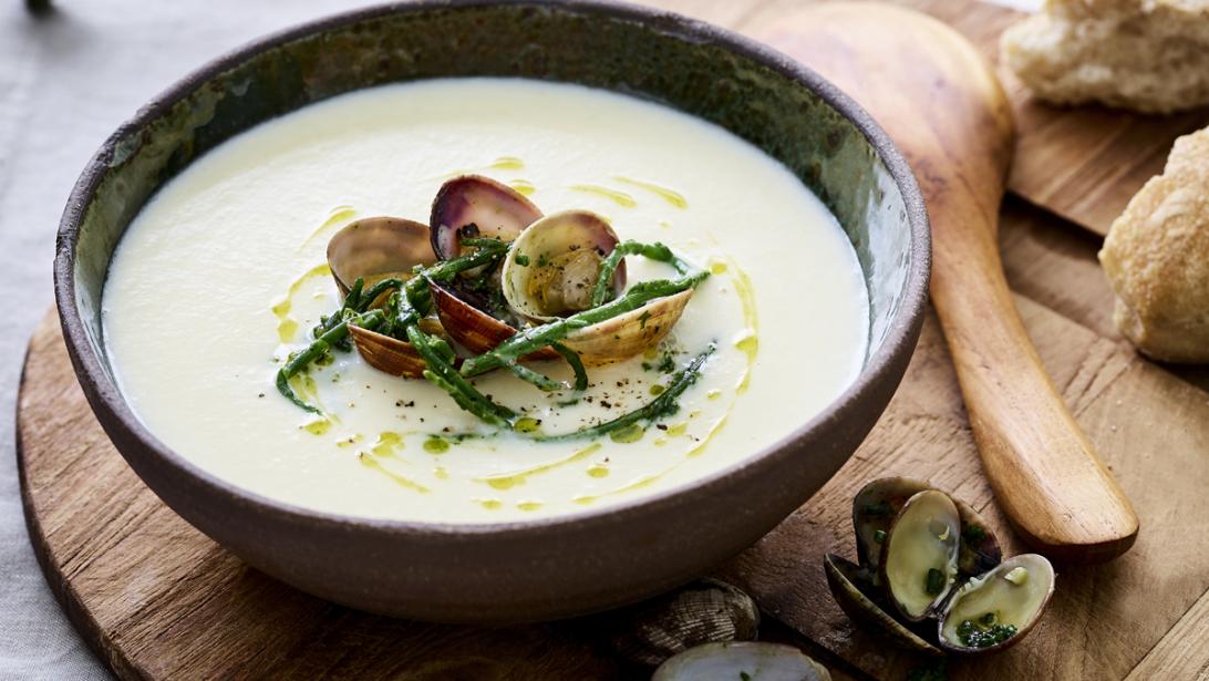 Smullen: soep van knolselder met venusschelpjes en peterselie-olie Smullen: soep van knolselder met venusschelpjes en peterselie-olie