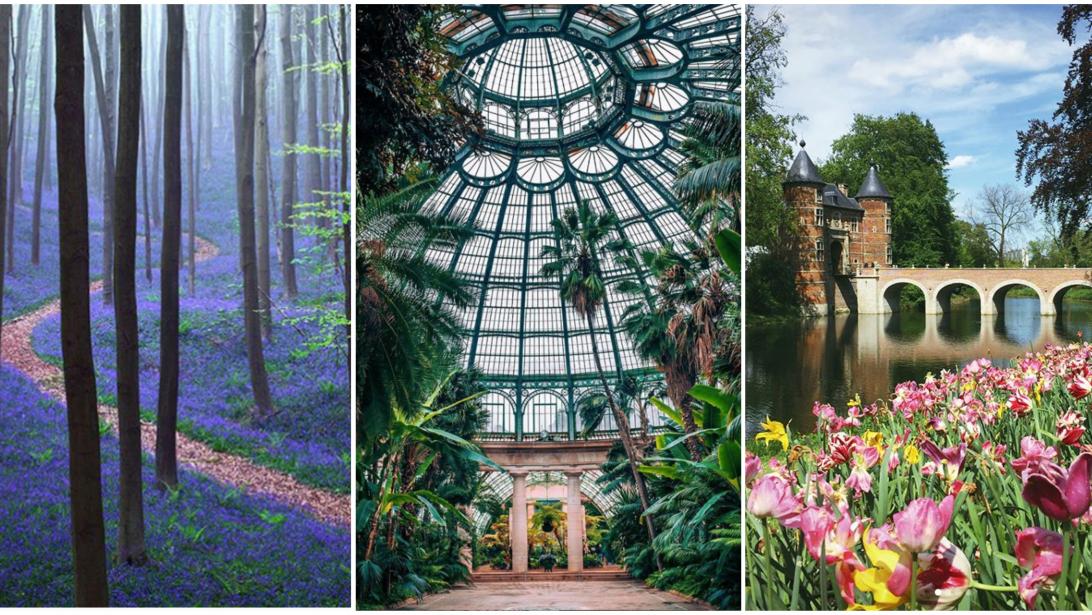 Must-see: 3 sorties fleuries à (re)découvrir ce printemps! Must-see: 3 sorties fleuries à (re)découvrir ce printemps!