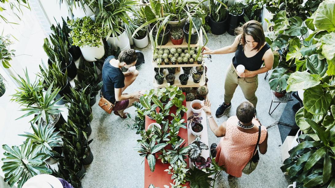 Fan de plantes? Voilà le bon plan à ne pas louper à Bruxelles! Fan de plantes? Voilà le bon plan à ne pas louper à Bruxelles!