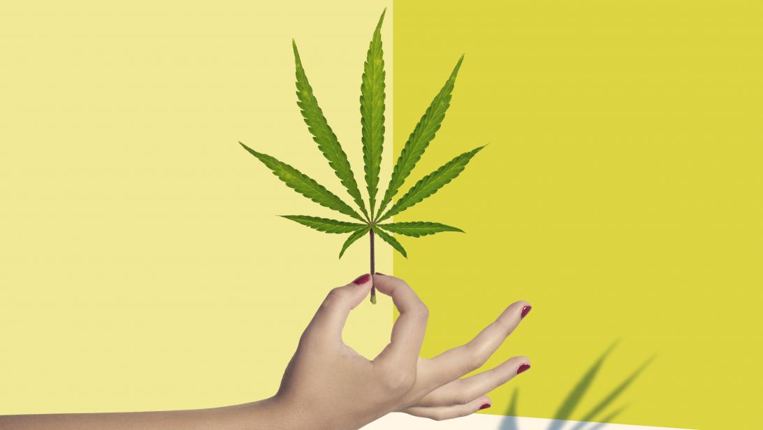 Santé: le CBD va-t-il bientôt remplacer l'aspirine? Santé: le CBD va-t-il bientôt remplacer l'aspirine?