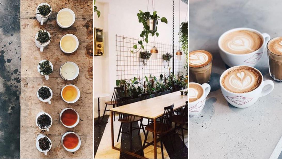 Cuperus in Antwerpen: koffie en co-worken in een urban groene setting Cuperus in Antwerpen: koffie en co-worken in een urban groene setting