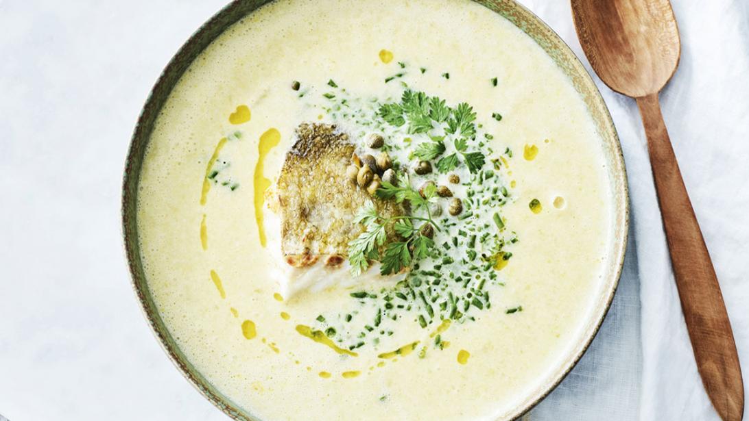 Recept: Witloofsoep met kabeljauw en couscous van zeekraal Recept: Witloofsoep met kabeljauw en couscous van zeekraal