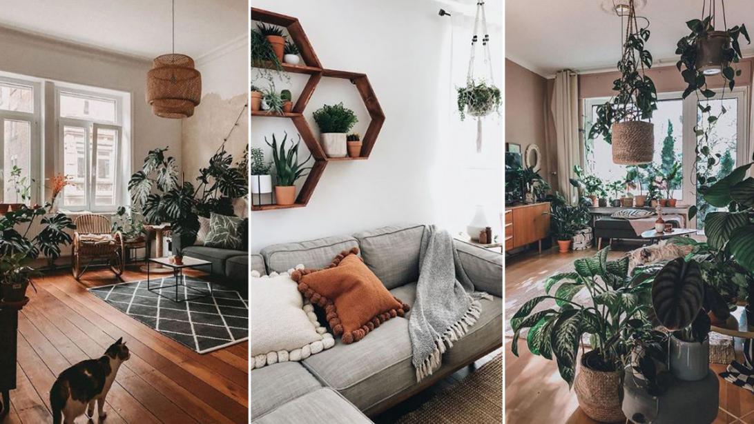 Go green: 7 x hier shop je dé plantentrends van 2020 online Go green: 7 x hier shop je dé plantentrends van 2020 online