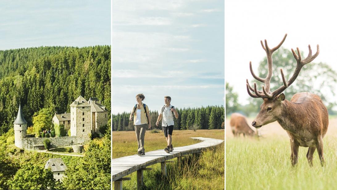 Wanderlust: de mooiste wandelingen in eigen land Wanderlust: de mooiste wandelingen in eigen land
