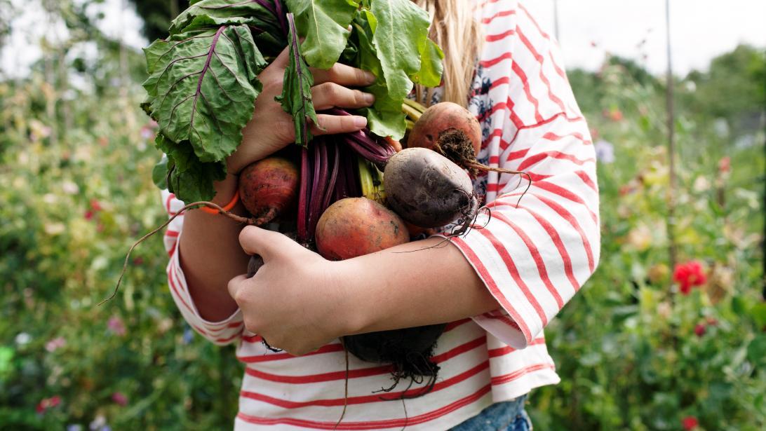 Pratique & gourmand: comment faire un potager de terrasse ? Pratique & gourmand: comment faire un potager de terrasse ?