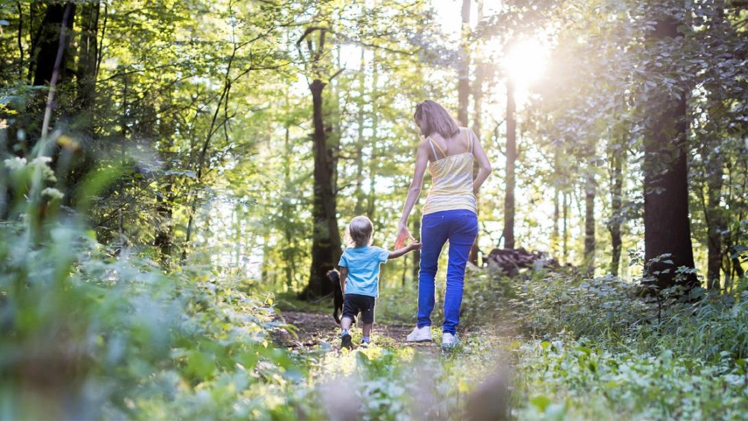 Dit zijn ze: de 5 mooiste wandelroutes in Vlaanderen Dit zijn ze: de 5 mooiste wandelroutes in Vlaanderen