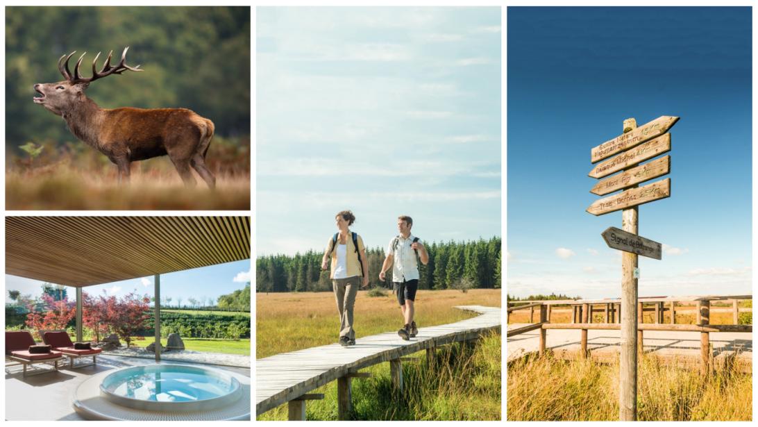 Tourisme en Belgique: et si on (re)découvrait les Hautes Fagnes? Tourisme en Belgique: et si on (re)découvrait les Hautes Fagnes?
