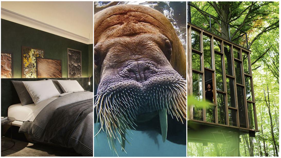 Uniek op reis: 4 x bijzonder logeren in Wallonië Uniek op reis: 4 x bijzonder logeren in Wallonië
