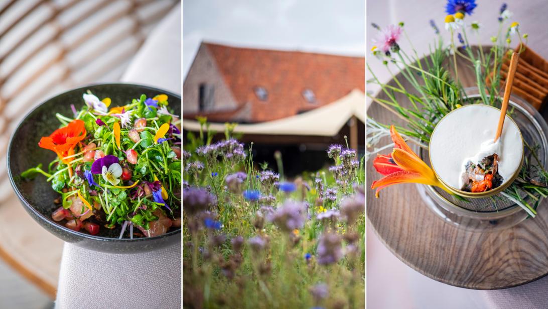 L.E.S.S. Summer Eatery: luxueus dineren in de pluktuin van Hertog Jan L.E.S.S. Summer Eatery: luxueus dineren in de pluktuin van Hertog Jan