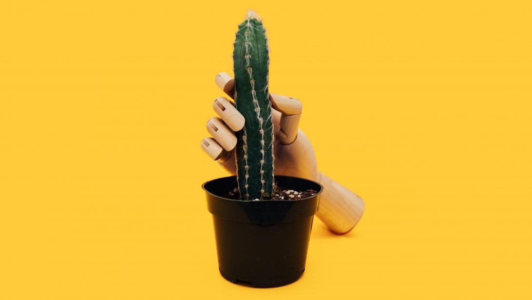 5 comptes Instagram qui parlent de sexualité sans tabou 5 comptes Instagram qui parlent de sexualité sans tabou