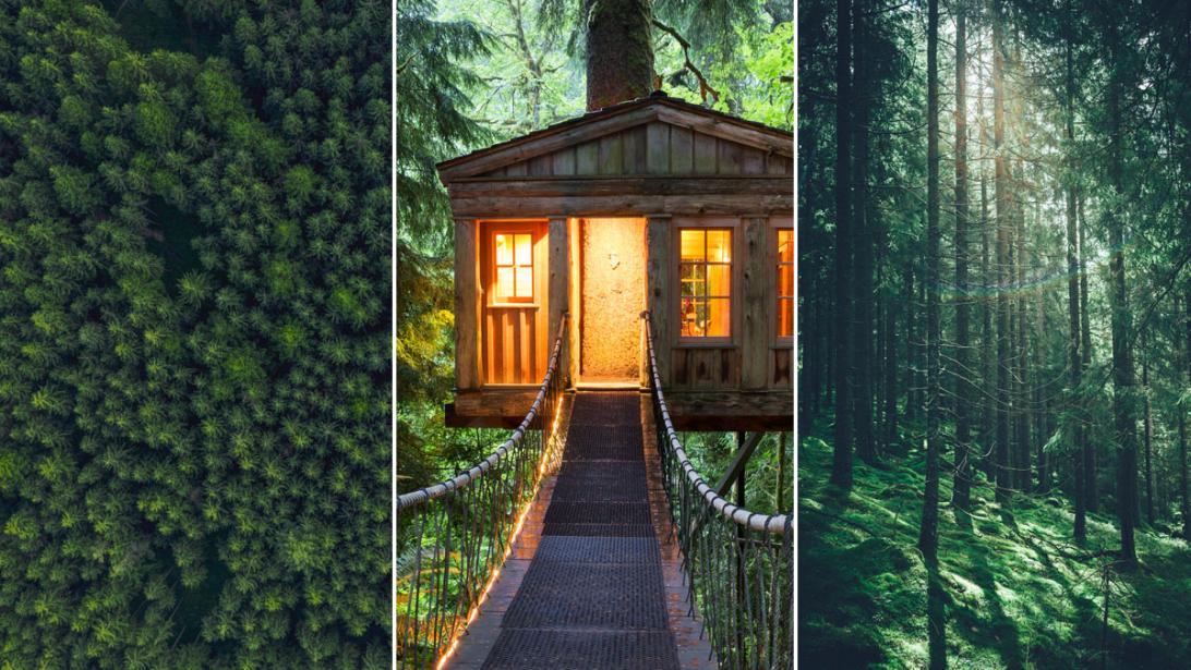 Dit zijn ze: 4 x de mooiste wandelingen in Wallonië Dit zijn ze: 4 x de mooiste wandelingen in Wallonië