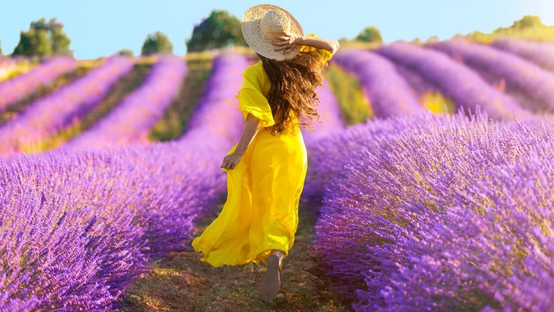 Wil je heen: deze bloemenvelden en pluktuinen zijn nù op hun mooist Wil je heen: deze bloemenvelden en pluktuinen zijn nù op hun mooist