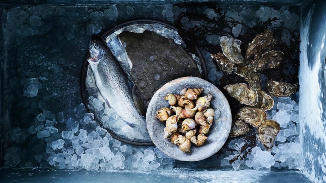Lekker vers: 5 x recepten recht uit de zee Lekker vers: 5 x recepten recht uit de zee