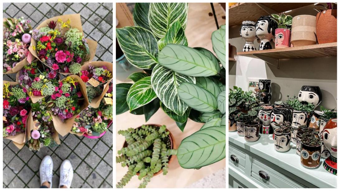 Liège: où shopper des fleurs et des plantes vertes en Cité ardente? Liège: où shopper des fleurs et des plantes vertes en Cité ardente?