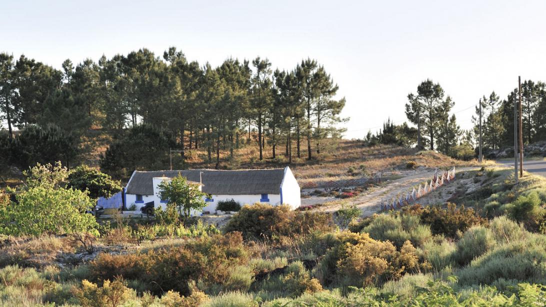 Comporta: authentieke parel aan de Portugese kust Comporta: authentieke parel aan de Portugese kust