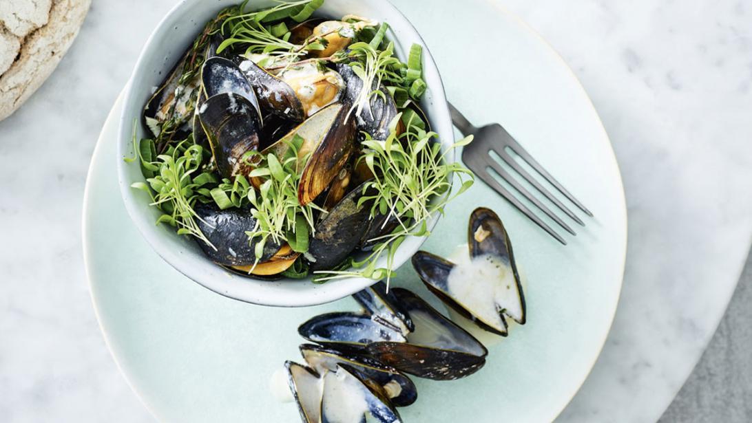 5 x de lekkerste mosselen aan de Belgische kust 5 x de lekkerste mosselen aan de Belgische kust