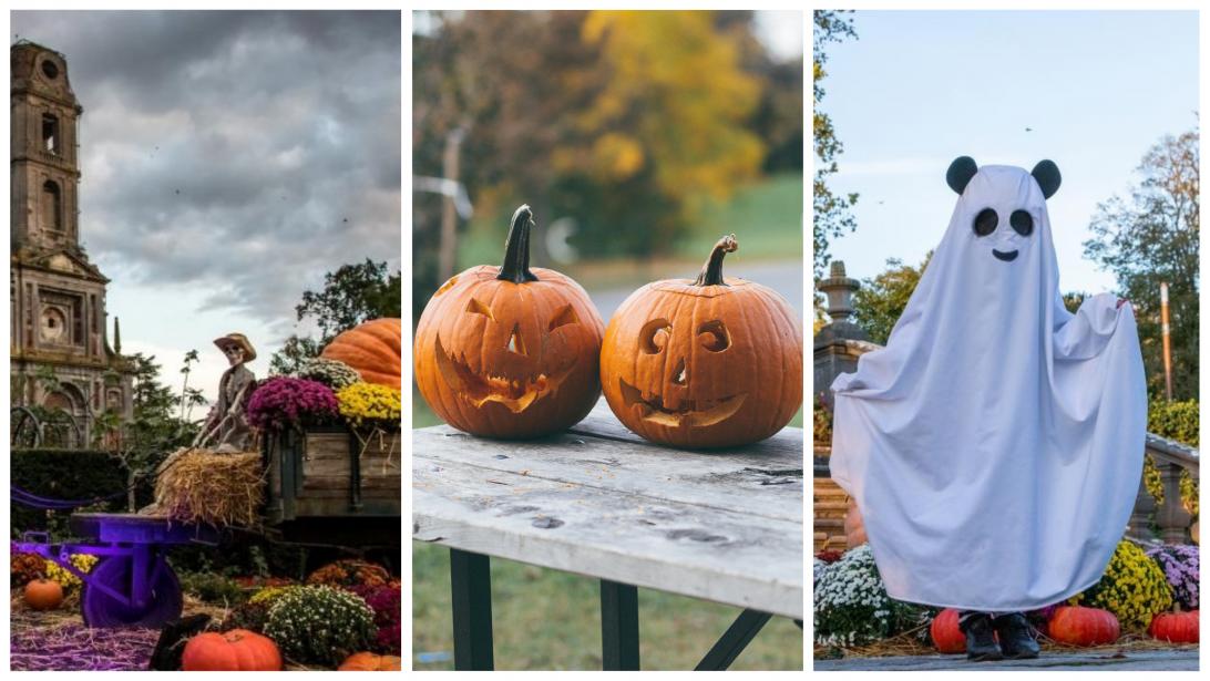 Soirées, balades terrifiantes: que faire à Halloween en Belgique? Soirées, balades terrifiantes: que faire à Halloween en Belgique?