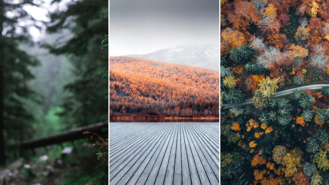 Mistige dennen en heuvels: 7 x mooie herfstwandelingen in Wallonië Mistige dennen en heuvels: 7 x mooie herfstwandelingen in Wallonië