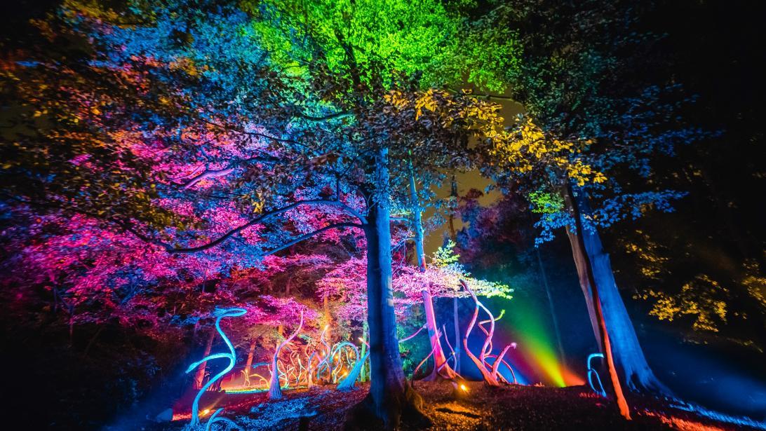 Belgique: 3 balades illuminées spectaculaires pour un week-end féerique Belgique: 3 balades illuminées spectaculaires pour un week-end féerique