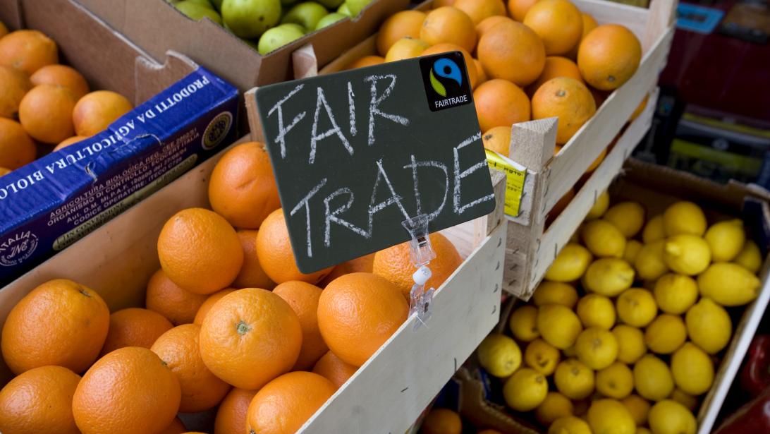 Duurzame experten aan het woord: Koop je beter fairtrade? Duurzame experten aan het woord: Koop je beter fairtrade?