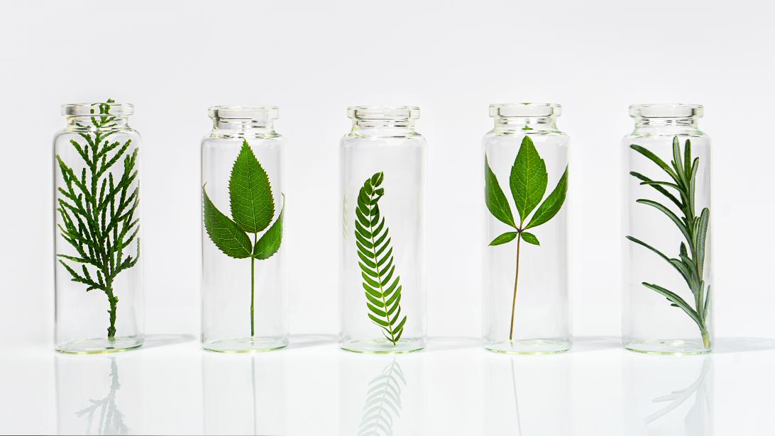 Bio, naturel, végane, cruelty free... C'est quoi, la différence? Bio, naturel, végane, cruelty free... C'est quoi, la différence?