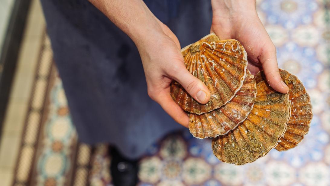 Dit zijn de 6 lekkerste visrestaurants in Leuven Dit zijn de 6 lekkerste visrestaurants in Leuven
