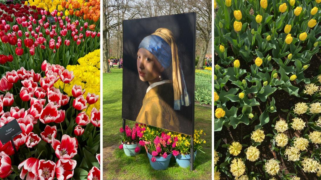 Sortie printanière : Keukenhof, le plus beau jardin fleuri du monde Sortie printanière : Keukenhof, le plus beau jardin fleuri du monde