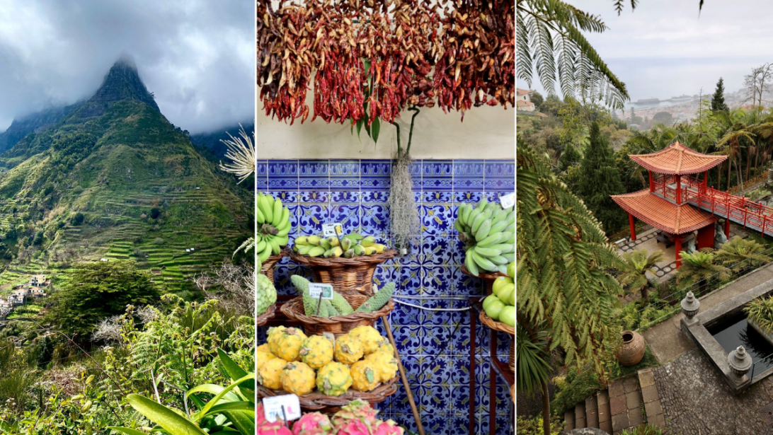 5 redenen waarom Madeira jouw volgende vakantiebestemming wordt 5 redenen waarom Madeira jouw volgende vakantiebestemming wordt