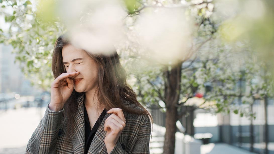 Rhume des foins: 10 astuces pour survivre au pic de pollen Rhume des foins: 10 astuces pour survivre au pic de pollen