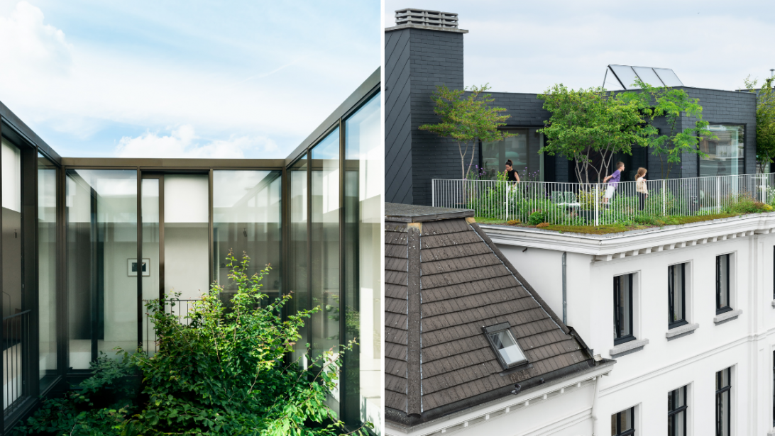 Bomenexpert Dries Van der Auwera: dit is beste oplossing voor meer privacy in je stadstuintje Bomenexpert Dries Van der Auwera: dit is beste oplossing voor meer privacy in je stadstuintje