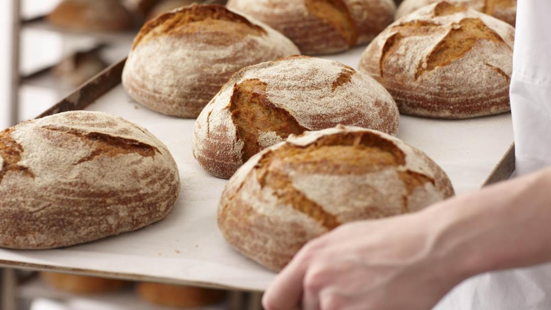 De beste bakkers voor tijdens jouw vakantie aan zee De beste bakkers voor tijdens jouw vakantie aan zee