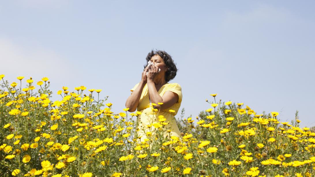 Ce remède naturel permet de calmer les allergies au pollen! Ce remède naturel permet de calmer les allergies au pollen!