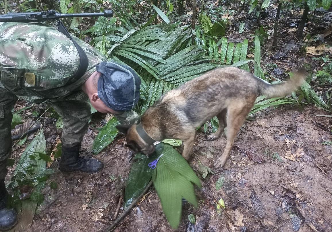 ce-que-l-on-sait-des-quatre-enfants-recherch-s-dans-l-amazonie-colombienne